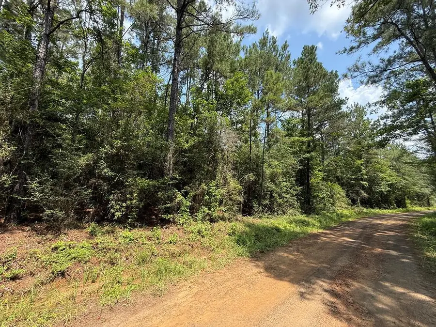 2955 County Road 441, Kirbyville, TX 75956 - Image #2