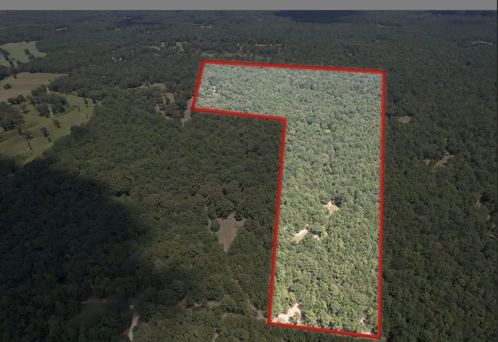 841239 County Road 352, Palestine, TX 75803 - Image #1