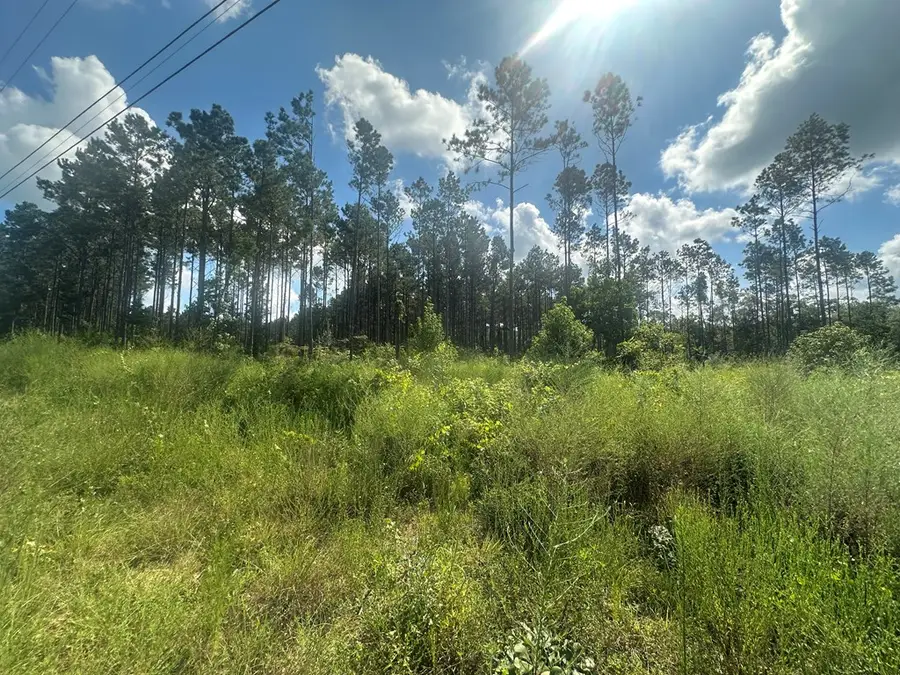 00 Fm 1005, Jasper, TX 75951 - Image #2