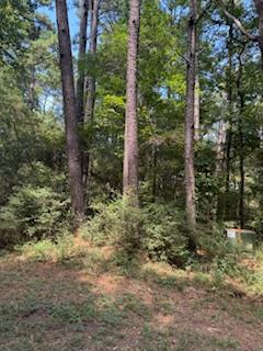 170 Ensign Dr., Hemphill, TX 75948 - Image #1