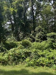 222 Ensign Dr., Hemphill, TX 75948