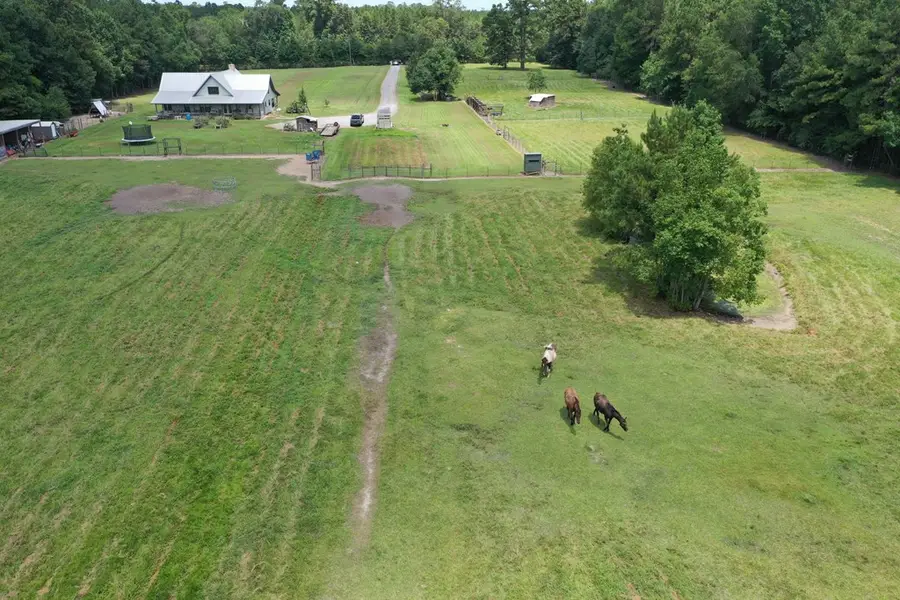 7096 Jim Burns Road, Silsbee, TX 77656 - Image #3