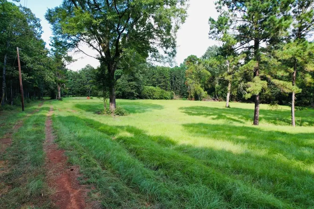 R1799 Fm 1196, San Augustine, TX 75972 - Image #1