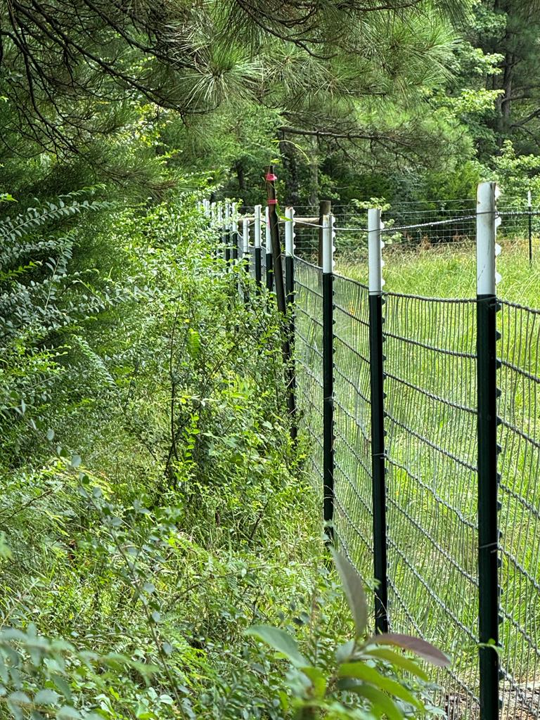 Lot 9 Cr 2626, Alto, TX 75925 - Image #2