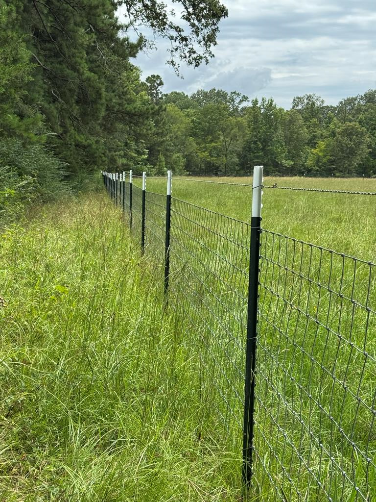 Lot 9 Cr 2626, Alto, TX 75925 - Image #3