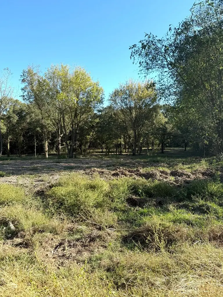 TBD Fm 138, Center, TX 75935 - Image #2