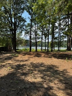 249 Briar Rose Fields, Milam, TX 75959 - Image #2