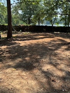 249 Briar Rose Fields, Milam, TX 75959 - Image #3