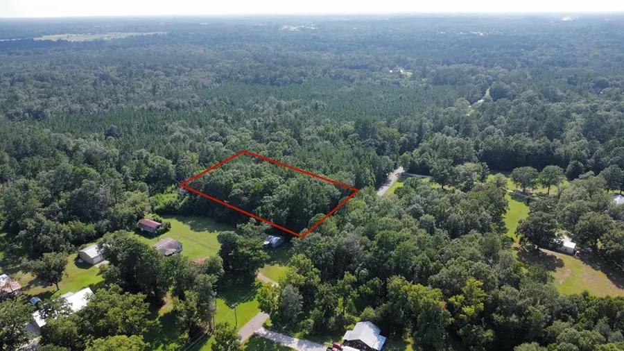TBD County Road 3073, Kirbyville, TX 75956 - Image #3