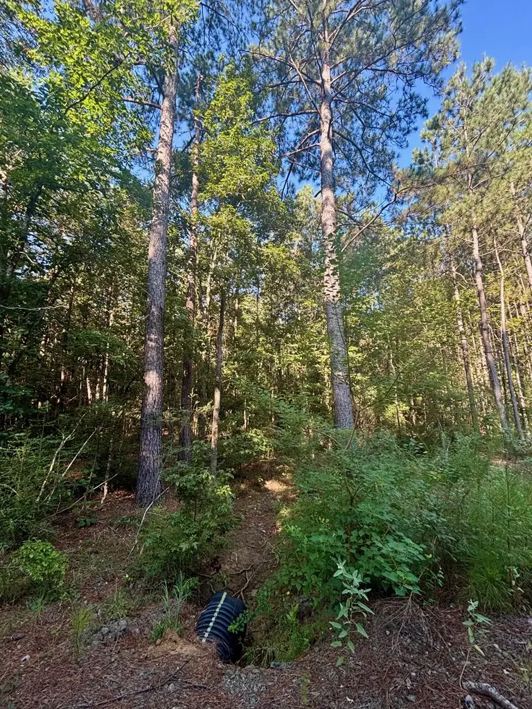 1690 Fm 1751, San Augustine, TX 75972 - Image #2