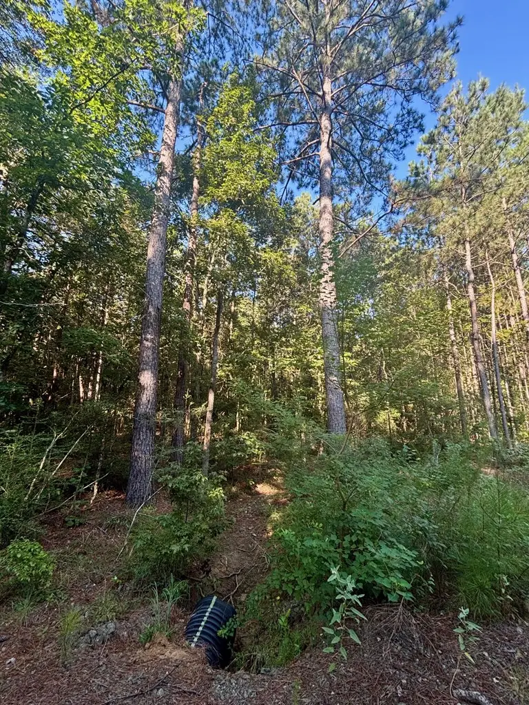 1690 Fm 1751, San Augustine, TX 75972 - Image #3