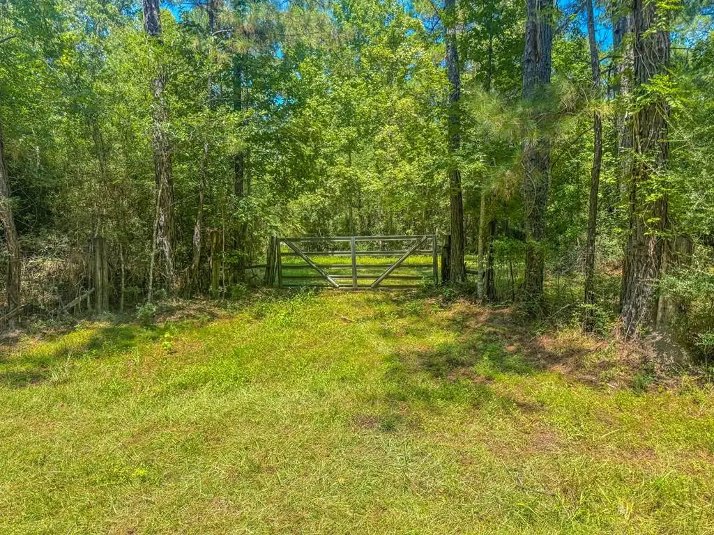 000 County Road 2001, Bon Wier, TX 75928 - Image #1