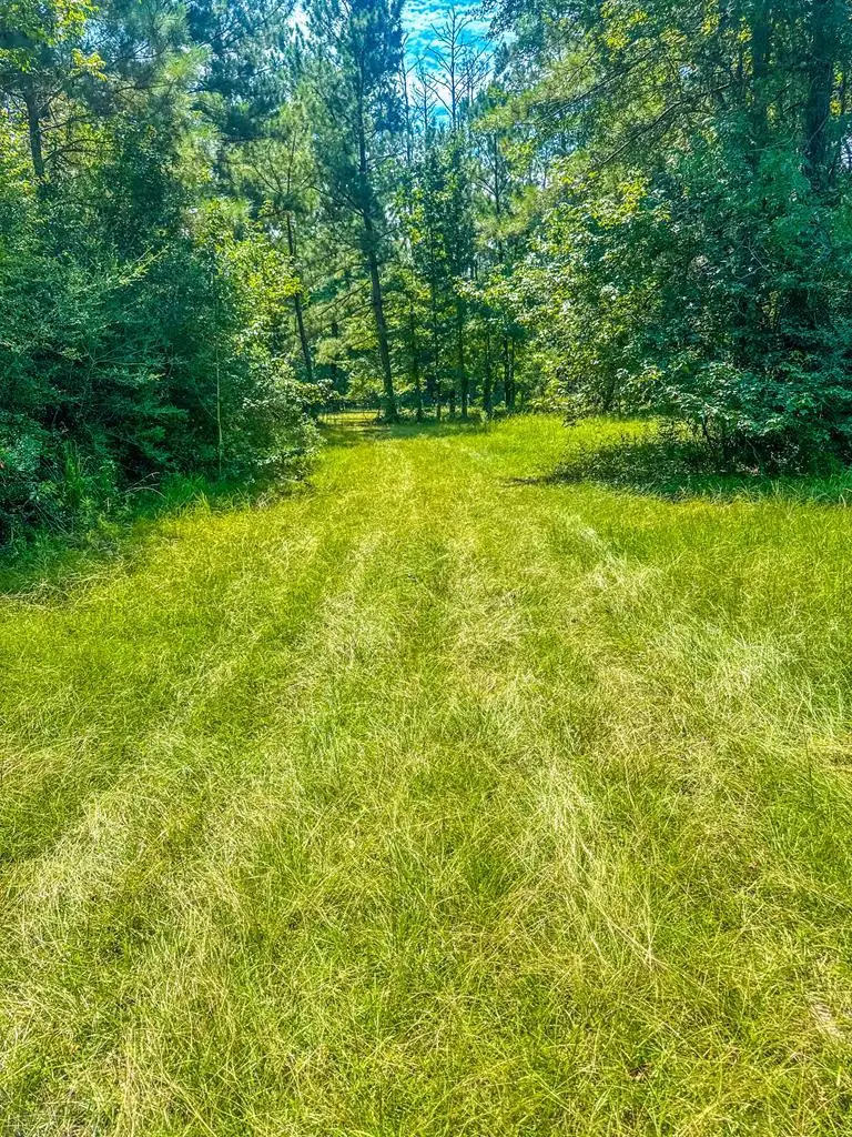 000 County Road 2001, Bon Wier, TX 75928 - Image #2