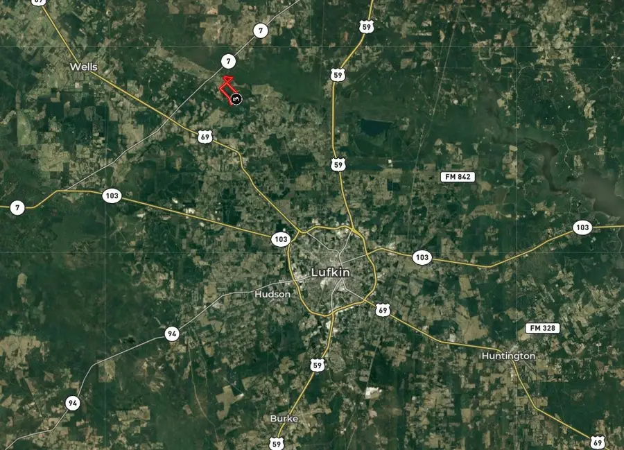 Parcel ID 30383 Fenley Flat Road, Pollok, TX 75969 - Image #3