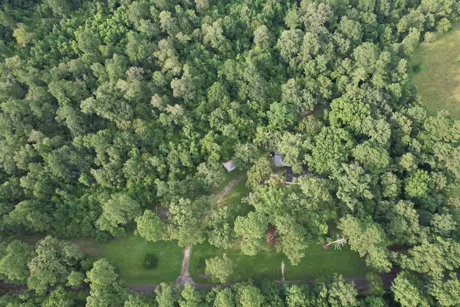 1659 Lowery Sawmill Road, Huntington, TX 75949 - Image #3