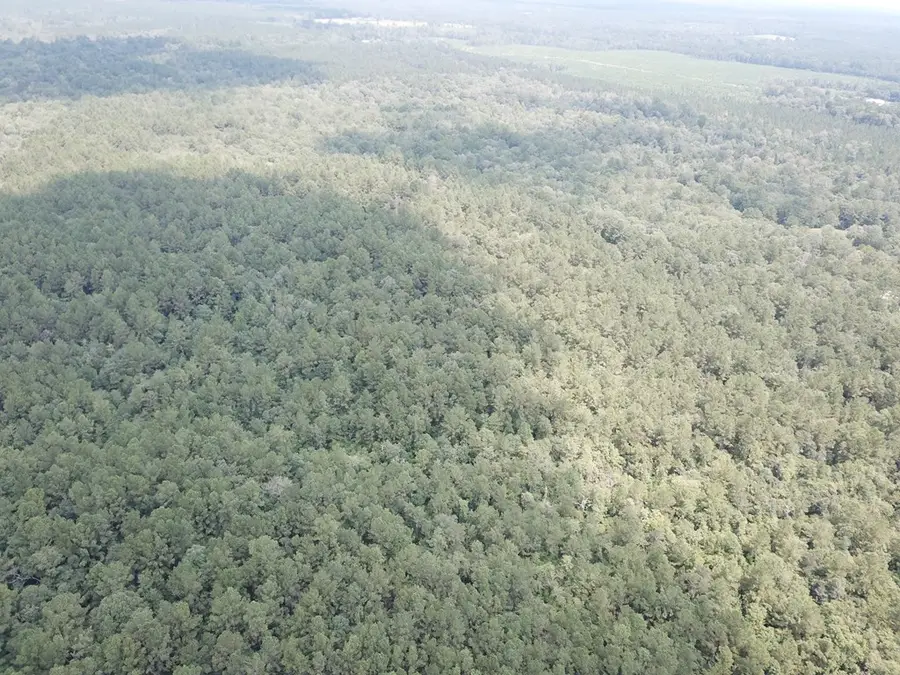 2905 County Road 441, Kirbyville, TX 75956 - Image #3