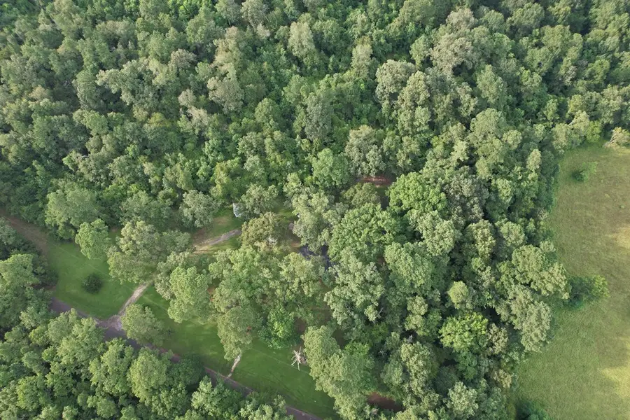 1659 (Lot 3) Lowery Sawmill Road, Huntington, TX 75949 - Image #2