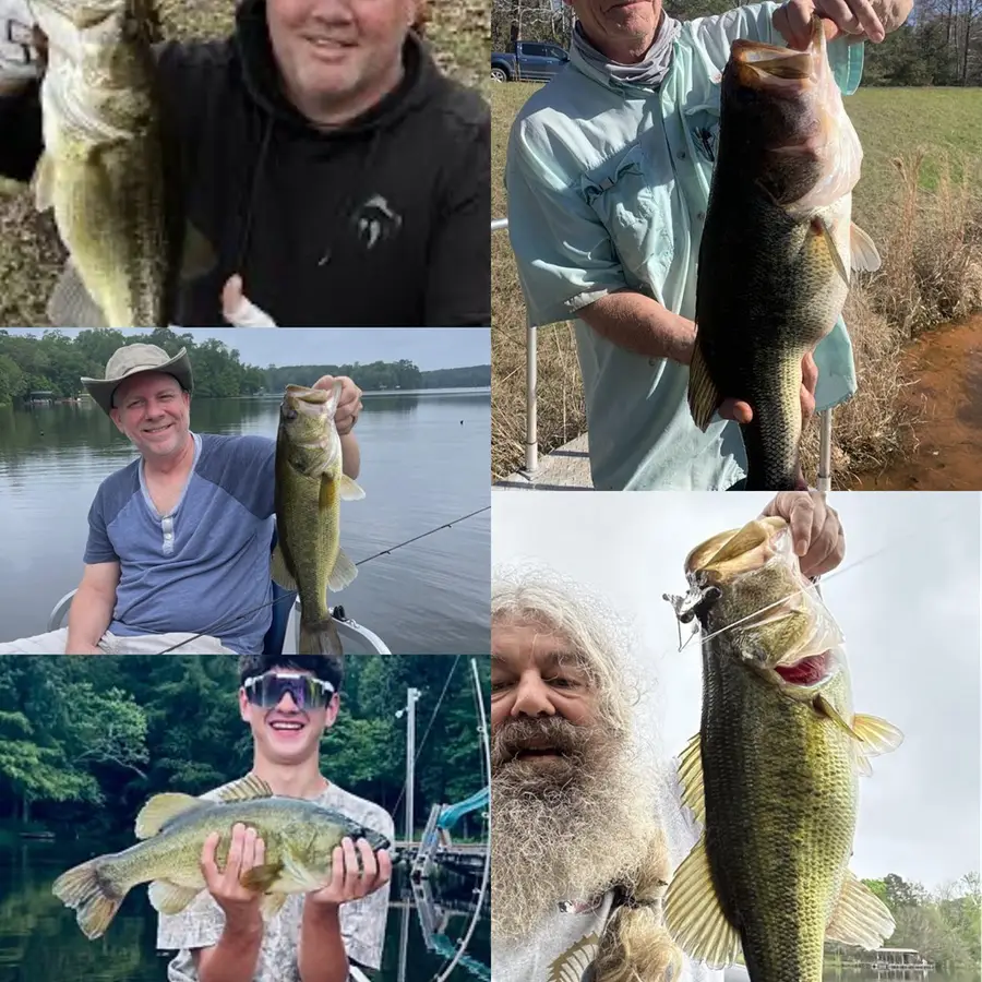 1254 County Road 3180, Colmesneil, TX 75938 - Image #3