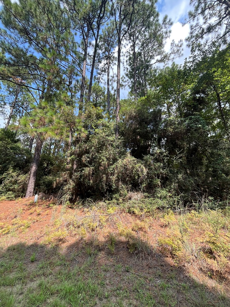 PID # 34770 Tobacco Road, Brookeland, TX 75931 - Image #2