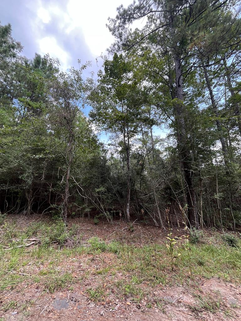 PID #33939 Tupelo, Brookeland, TX 75931 - Image #1