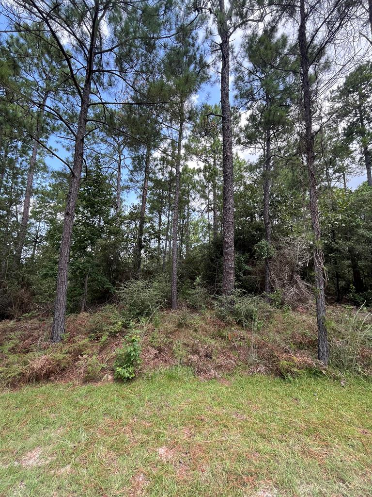 PID #33138 Amblewood Drive, Brookeland, TX 75931 - Image #1