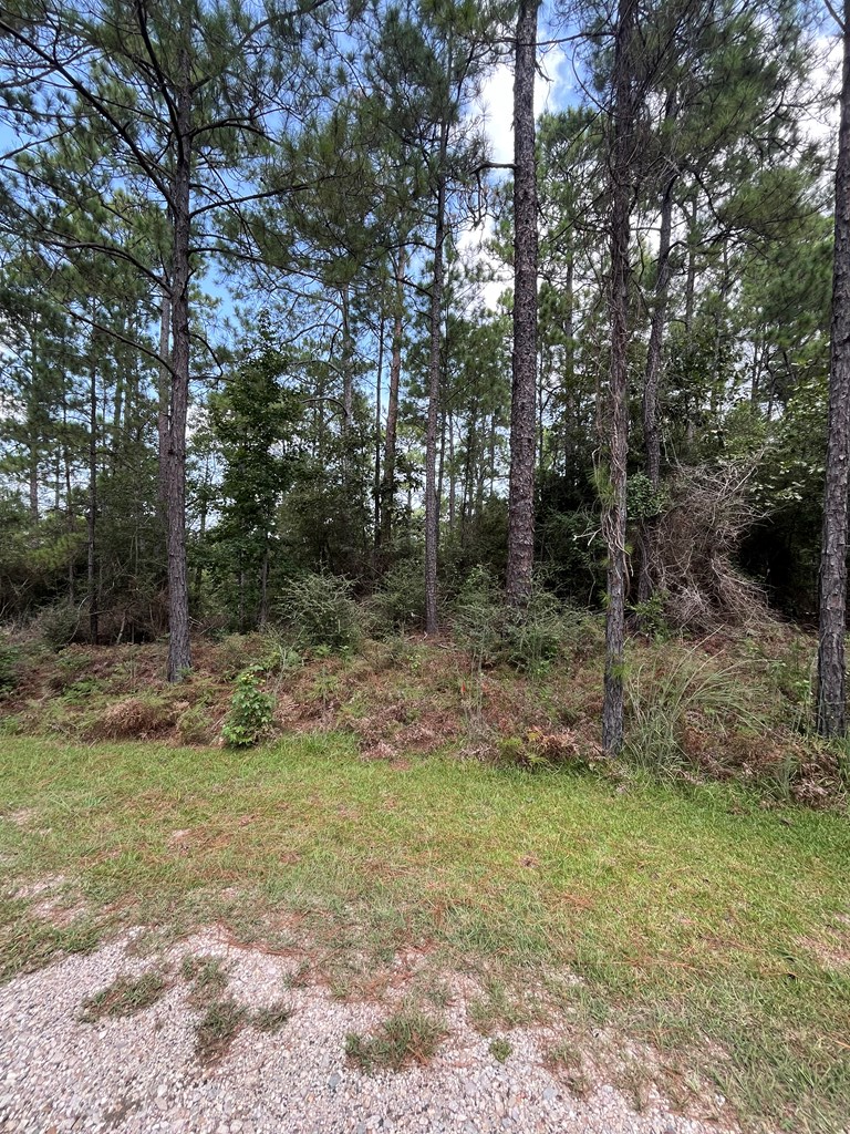 PID #33138 Amblewood Drive, Brookeland, TX 75931 - Image #2