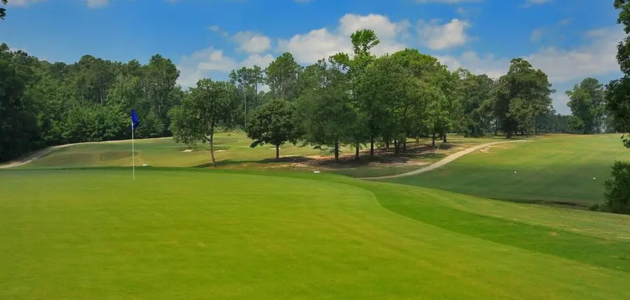 PID #33138 Amblewood Drive, Brookeland, TX 75931 - Image #3