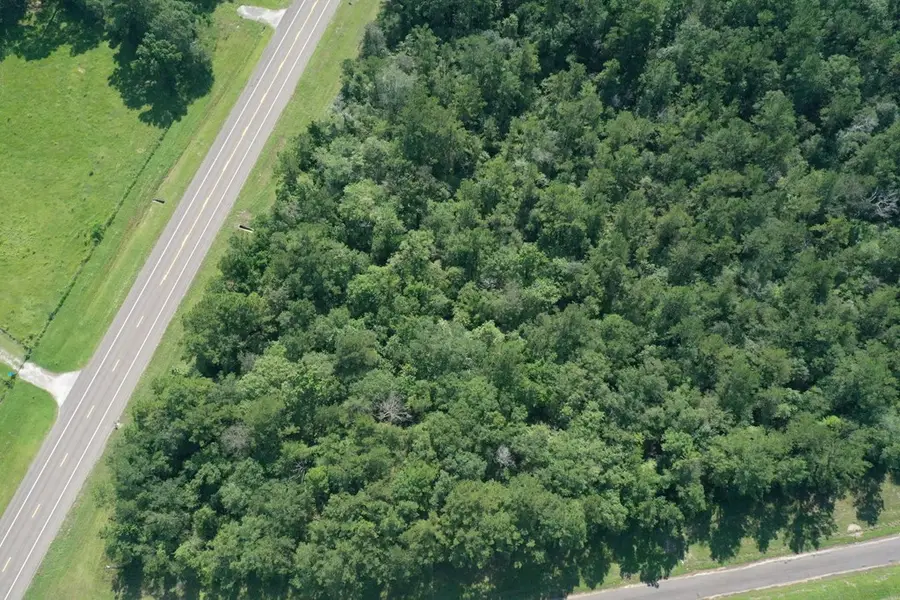 12342 87 S, Kirbyville, TX 75956 - Image #2