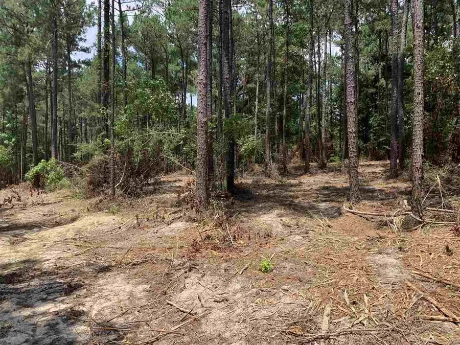 003 County Road 219, Brookeland, TX 75931 - Image #2