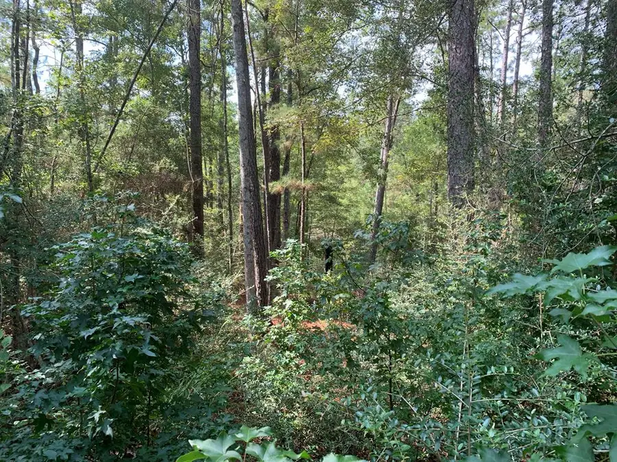 003 County Road 219, Brookeland, TX 75931 - Image #3