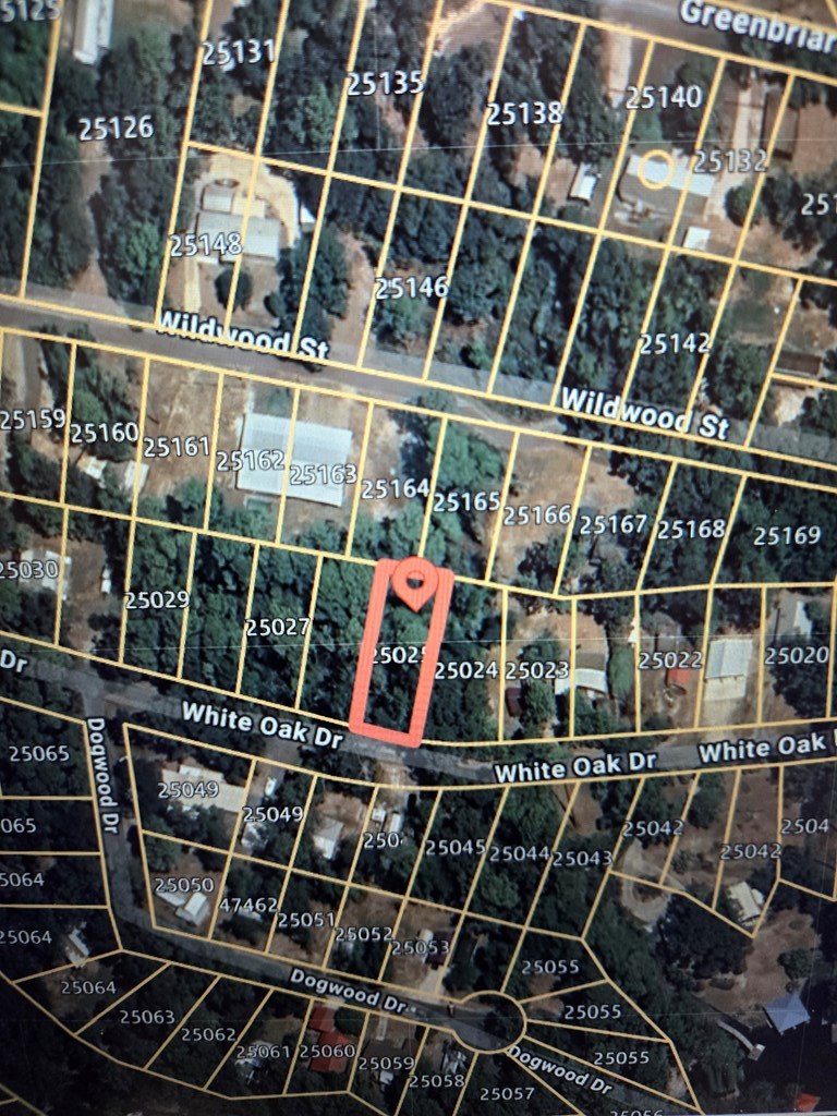 237 White Oak, Burkeville, TX 75932 - #2