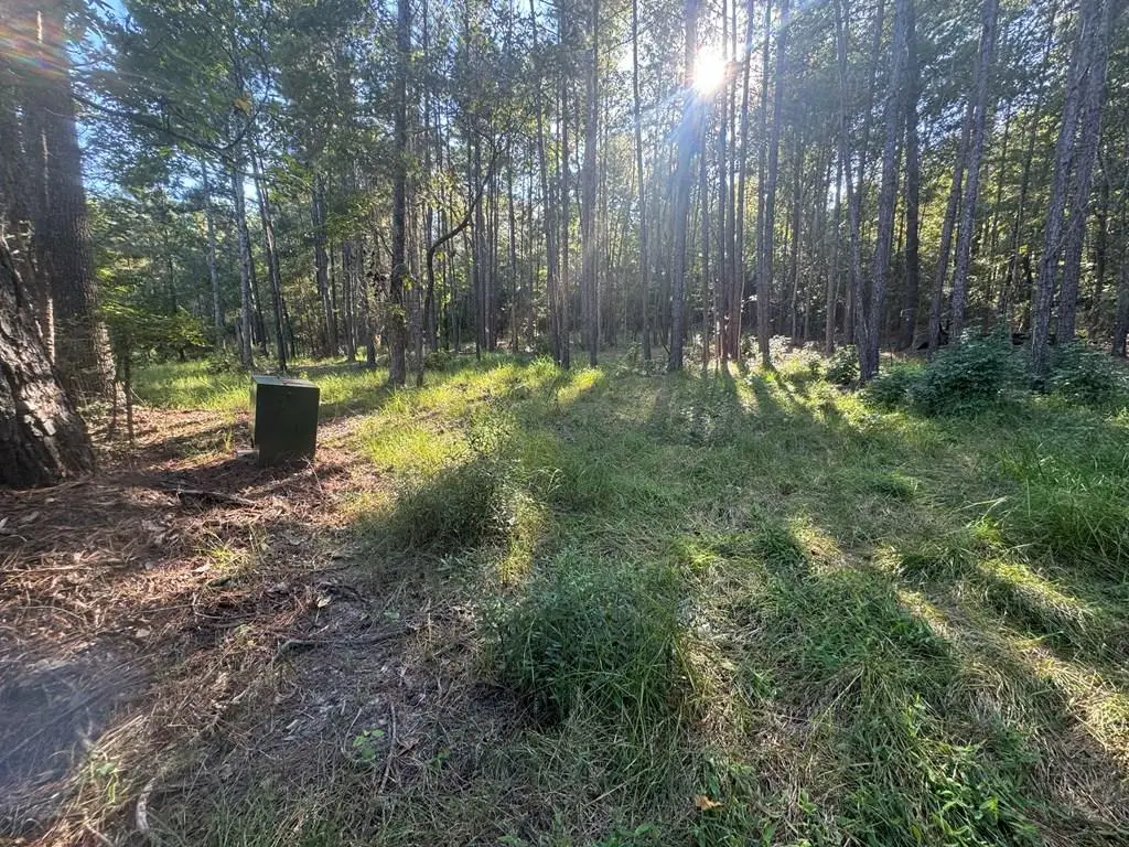 019 Daggar Drive, Brookeland, TX 75931 - Image #1