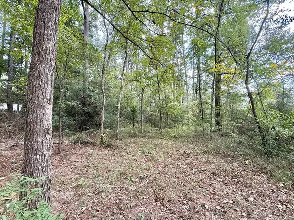 R000098401 Lighthouse Drive S, Hemphill, TX 75948