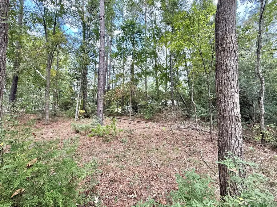 R000098401 Lighthouse Drive S, Hemphill, TX 75948 - Image #2