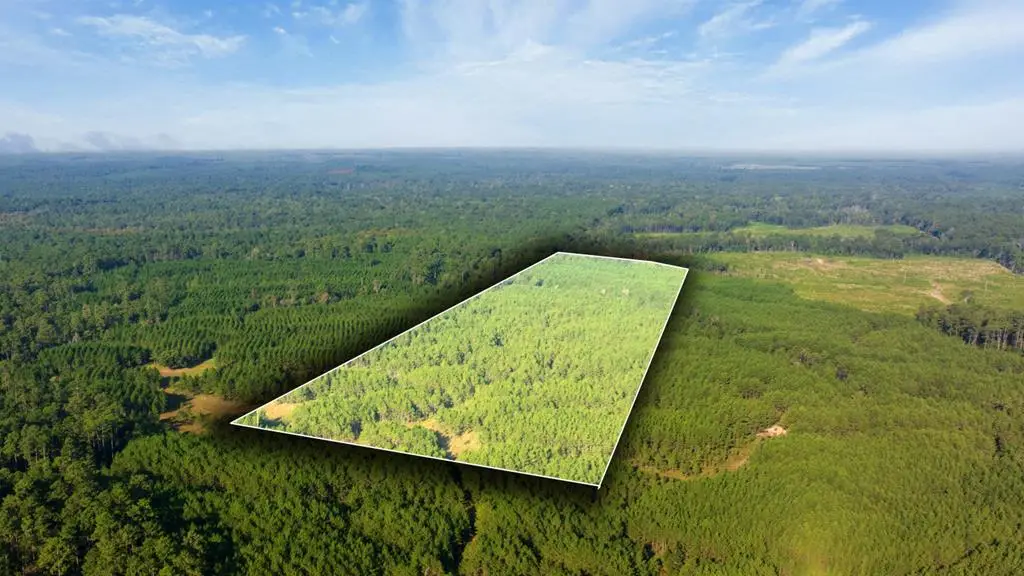 107540 Lot 3 County Road 037, Jasper, TX 75951 - Image #1