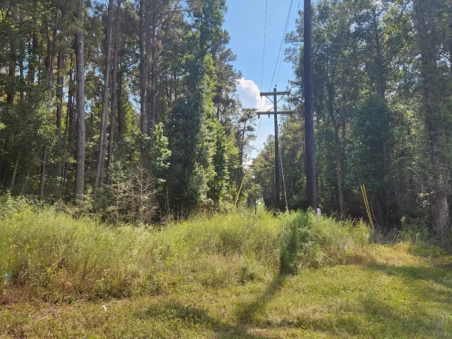 CAD 5125 W Us Hwy 190, Jasper, TX 75951 - Image #3