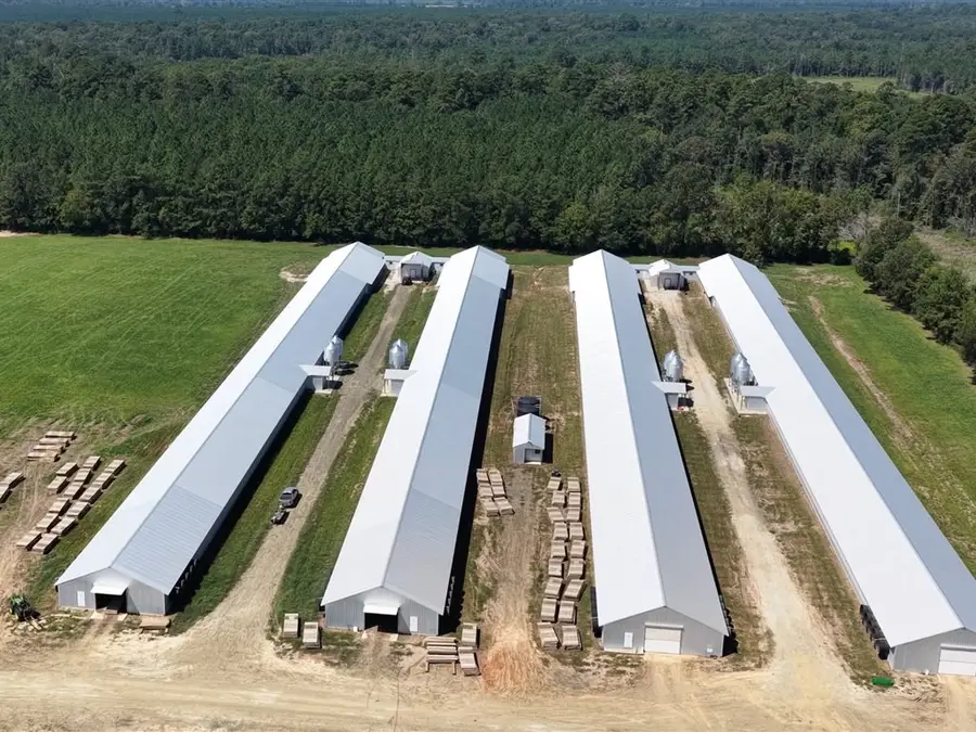 19387 Fm 1818, Huntington, TX 75949 - Image #3