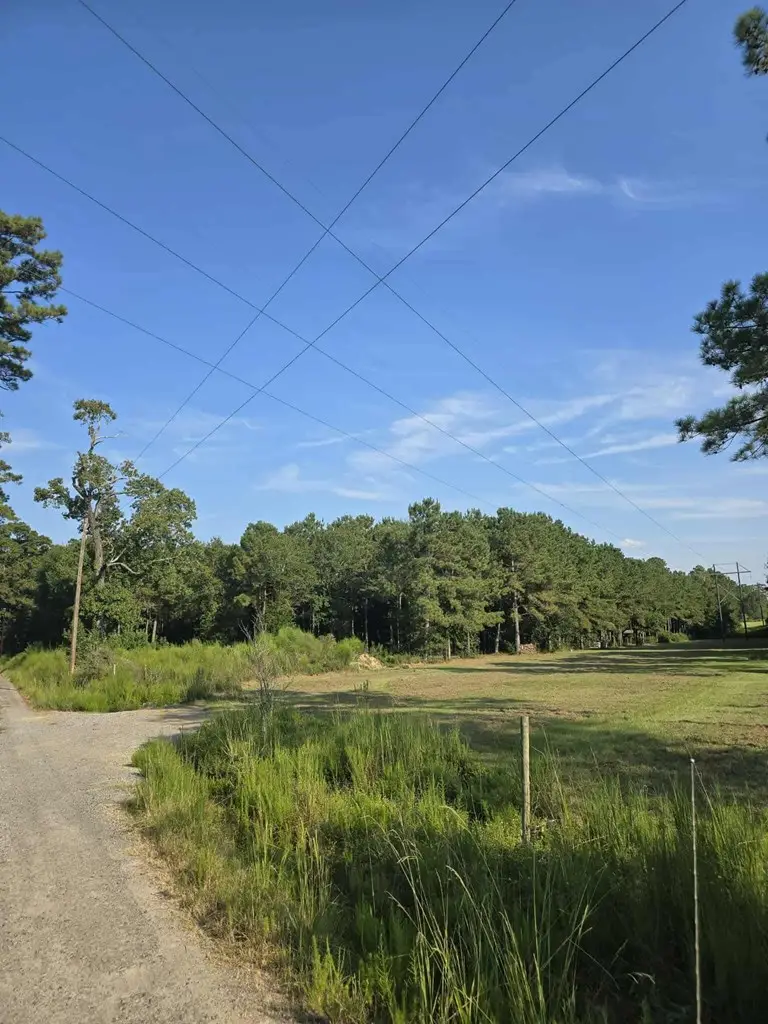 12777 Fm 252, Kirbyville, TX 75956 - Image #3