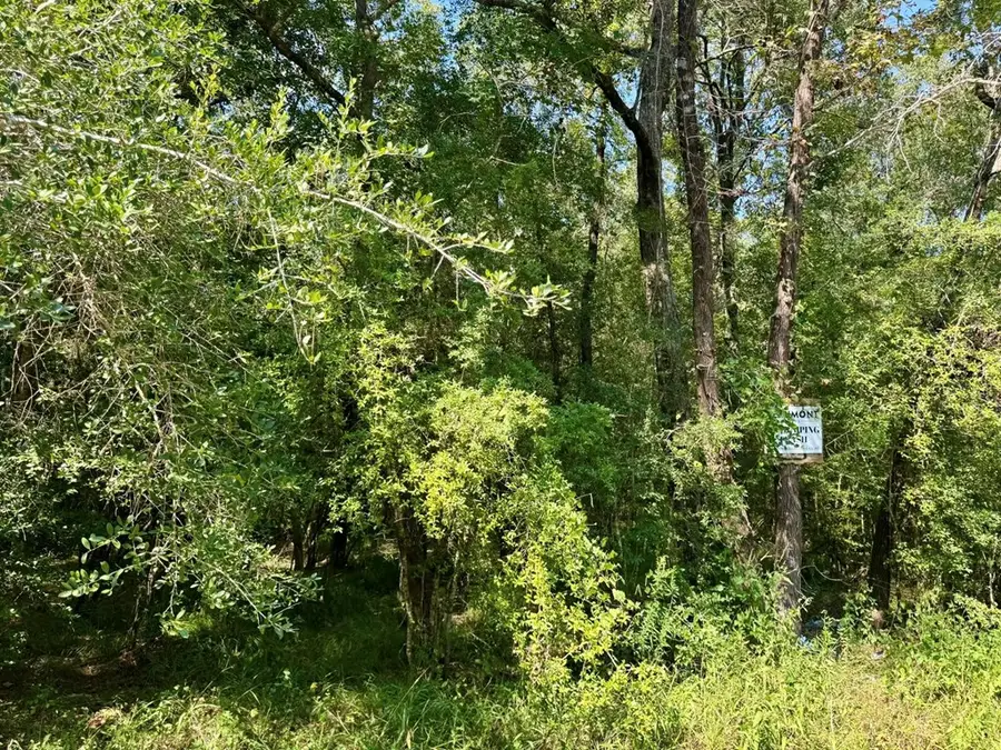 TBD Stonetown Street, Beaumont, TX 77713 - Image #2