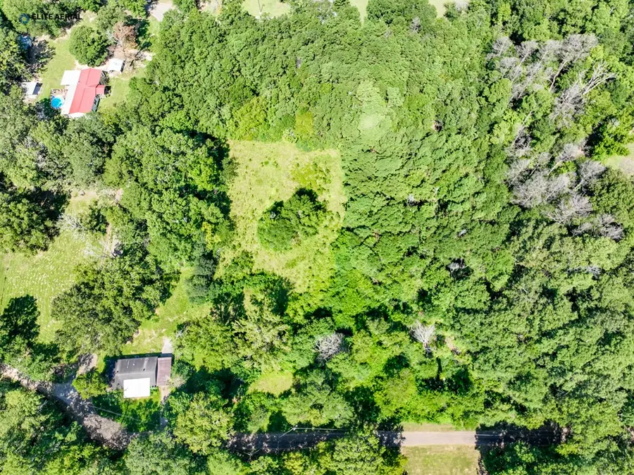 354 County Road 292, Jasper, TX 75951 - Image #2