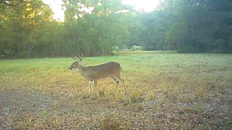 3609 Fm 1475, Lufkin, TX 75901 - Image #2