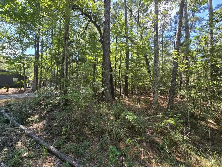 R32815 Idlewood, Brookeland, TX 75931 - Image #2