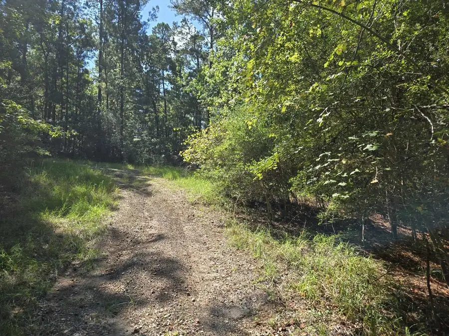 R33490 Burrow Lane, Brookeland, TX 75931 - Image #3