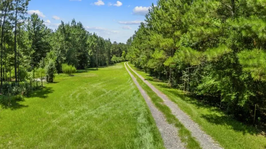 3239 County Road 1325, Warren, TX 77664 - Image #1