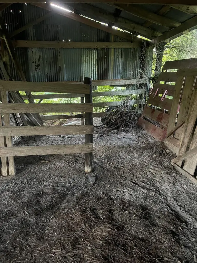 3239 County Road 1325, Warren, TX 77664 - Image #2