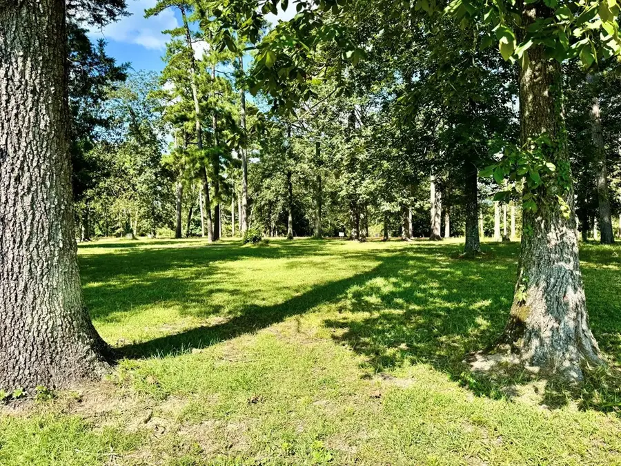 Lot 422 Lakeland Ranch, Hillister, TX 77624 - Image #2