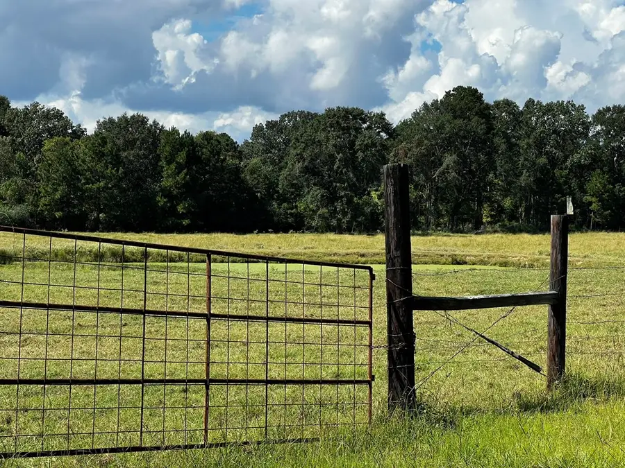 1475 Fm 2558, Broaddus, TX 75929 - Image #2