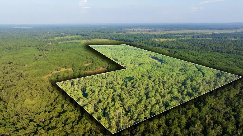 107540 County Road 037, Jasper, TX 75951 - Image #1