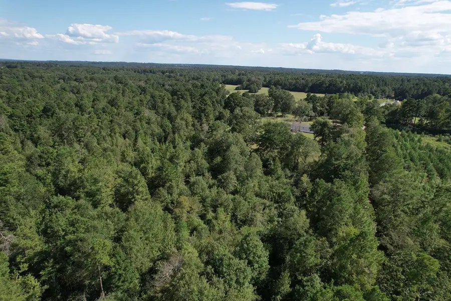 600 County Road 3822, Tenaha Joaquin, TX 75949 - Image #2