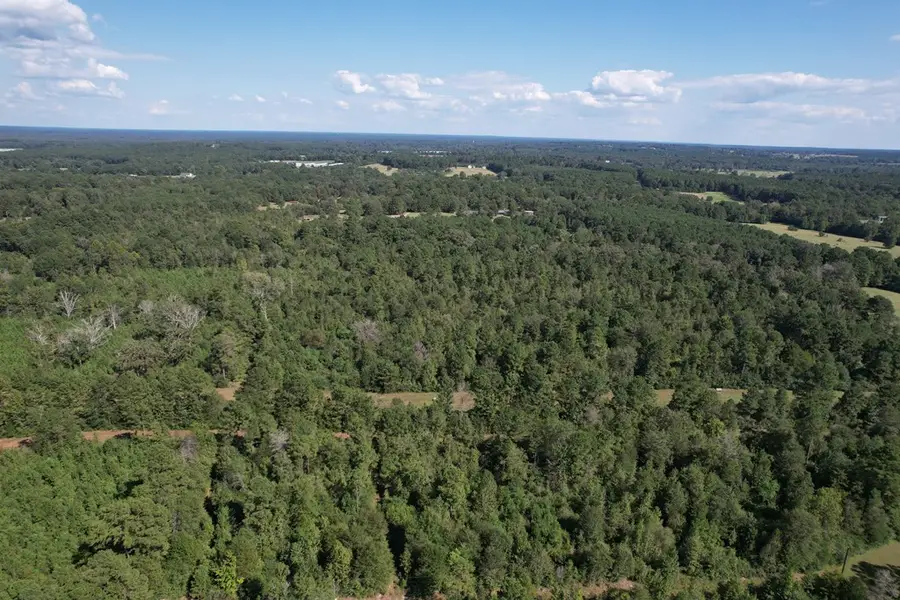 600 County Road 3822, Tenaha Joaquin, TX 75949 - Image #3